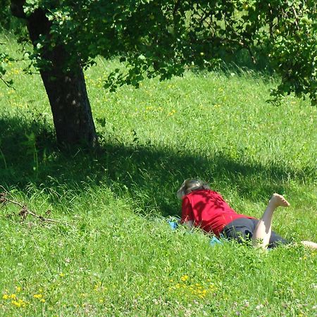 Buchgrabenhof Apartman Kistótlak Kültér fotó