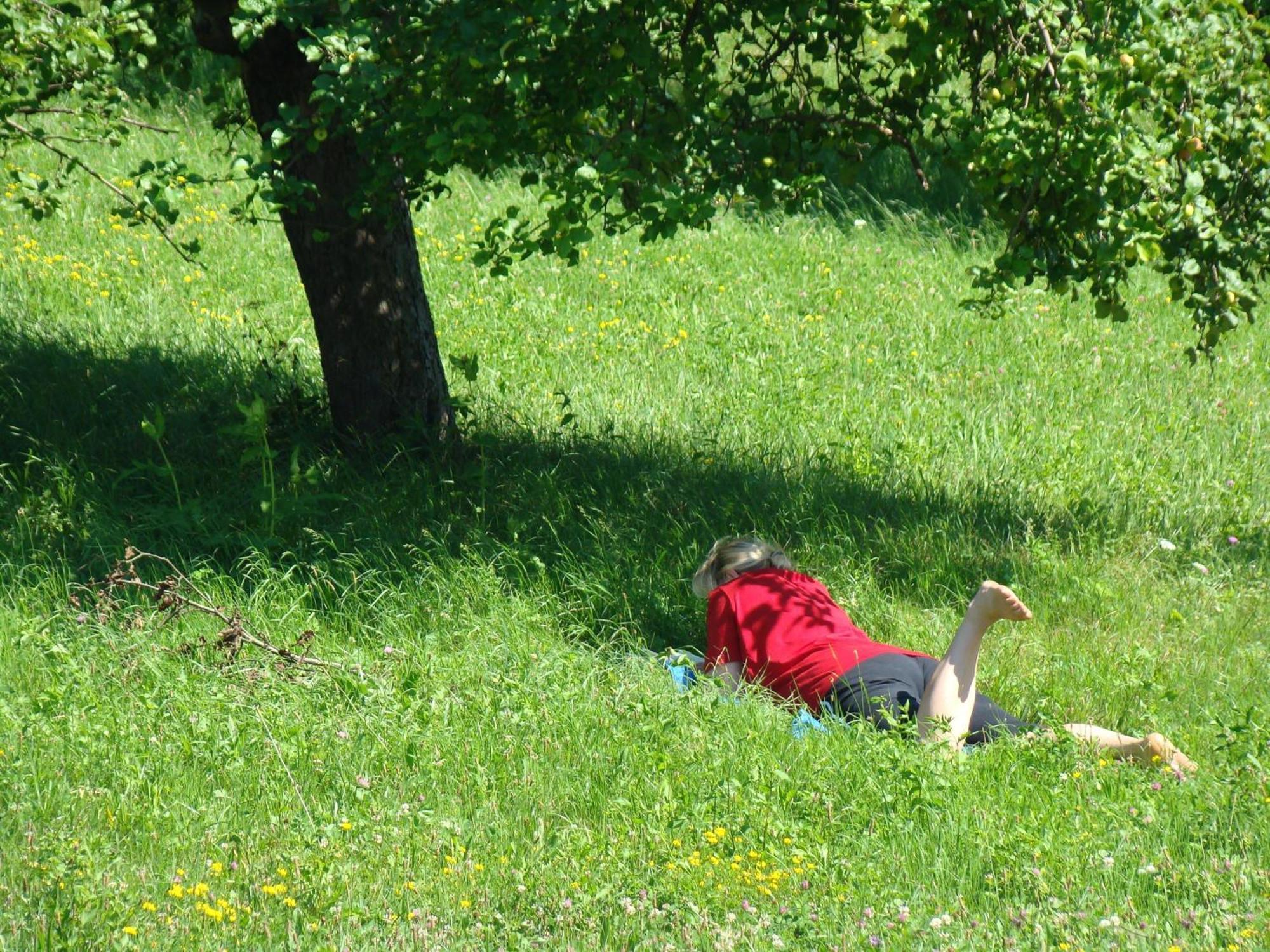Buchgrabenhof Apartman Kistótlak Kültér fotó