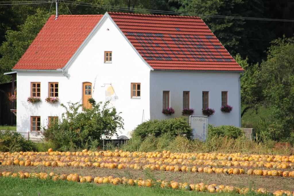 Buchgrabenhof Apartman Kistótlak Kültér fotó